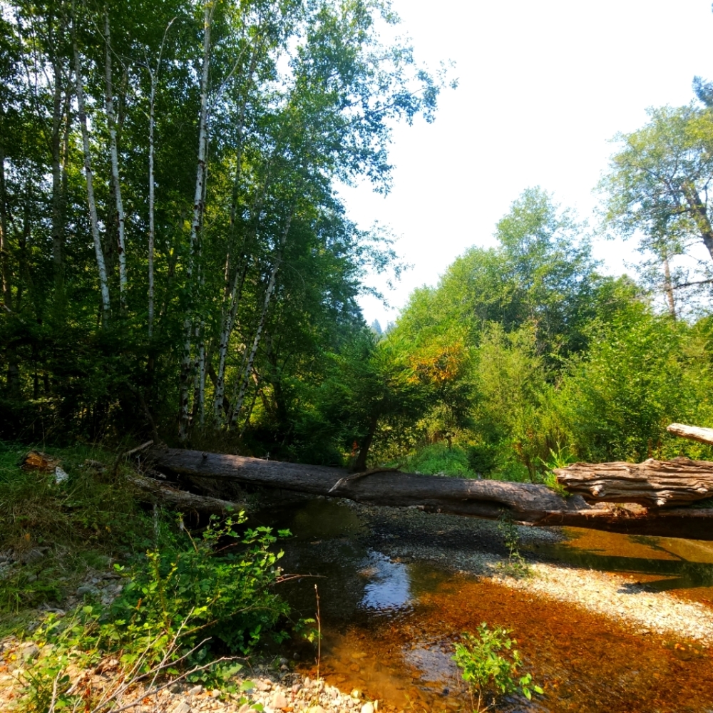 Meet your Posher, Rueben